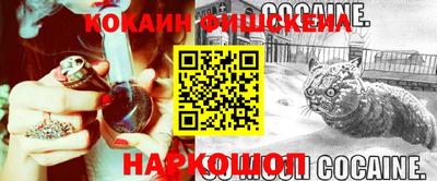 дурь Кингисепп