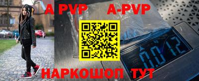 дурь Кингисепп