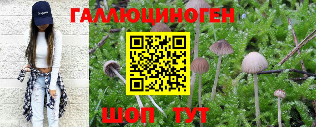 Псилоцибиновые грибы мицелий Курчатов