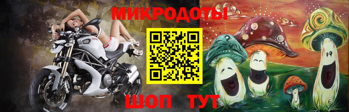 Курчатов  Псилоцибиновые грибы MAGIC MUSHROOMS  Вход с VPN 
